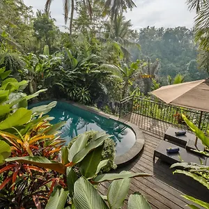 Mandana Villa