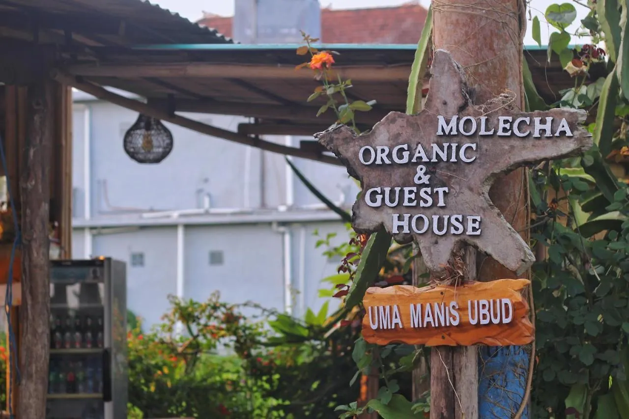 Locanda Uma Manis Ubud Indonesia